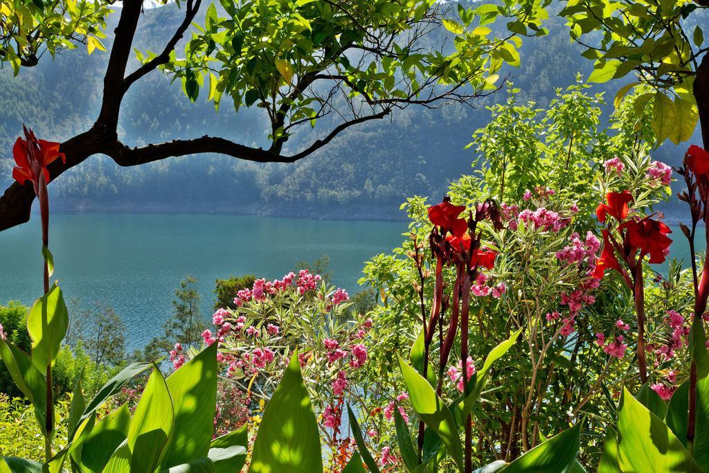 Lago Azul Eco Hotel Ferreira do Zêzere Eksteriør billede